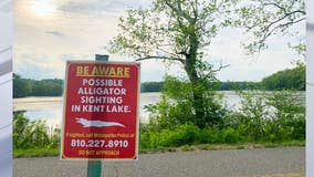 No signs of alligator at Kensington Metropark, Kent Lake remains open