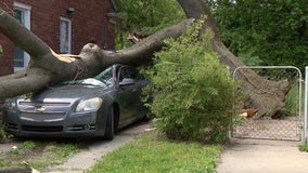 Detroit home, car crushed by neighbor's tree during thunderstorm