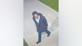 Taylor police looking for man caught on camera vandalizing high school