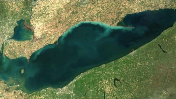 Lake Erie algal bloom could be worst in years, latest forecasts say