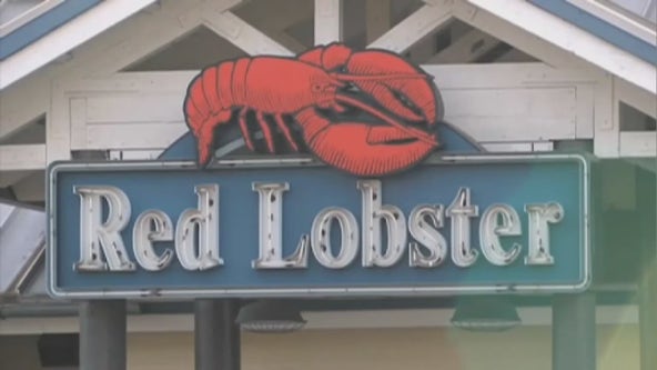 A Michigan Red Lobster is closing - and everything inside is up for auction