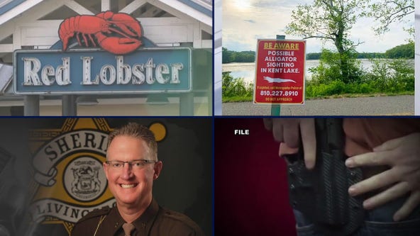 Michigan Red Lobster auction • no signs of Kent Lake alligator • Livingston County approves red flag gun law