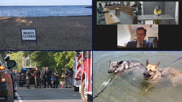 1 Michigan beach closed Memorial Day weekend • pet friendly beaches • drunk driver charged in pedestrian crash