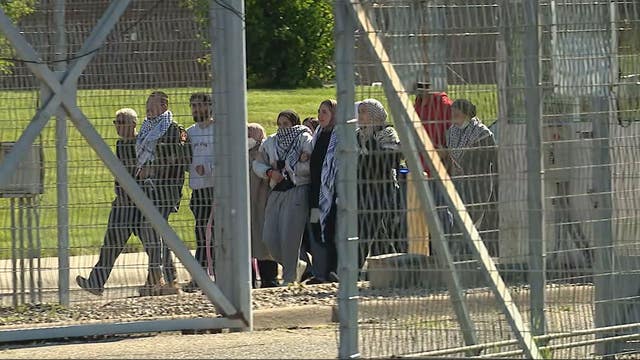 Detained Wayne State protesters released after police dismantle encampment