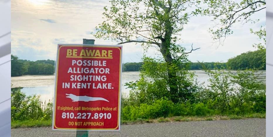No signs of alligator at Kensington Metropark, Kent Lake remains open