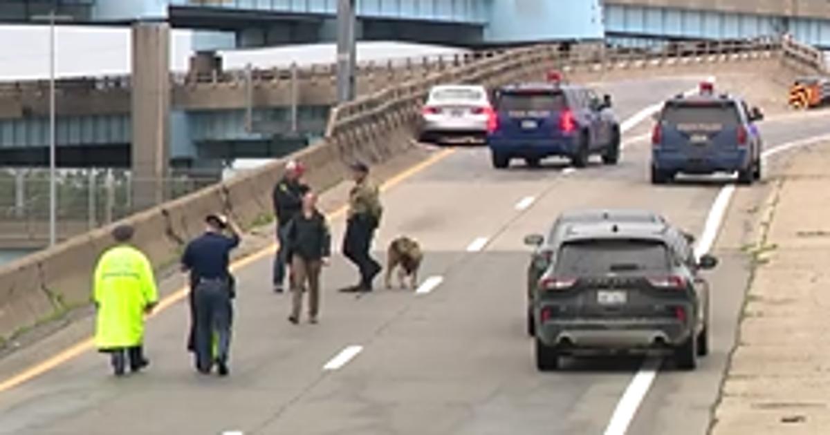 35-year-old man shot, killed on Southfield Freeway | FOX 2 Detroit