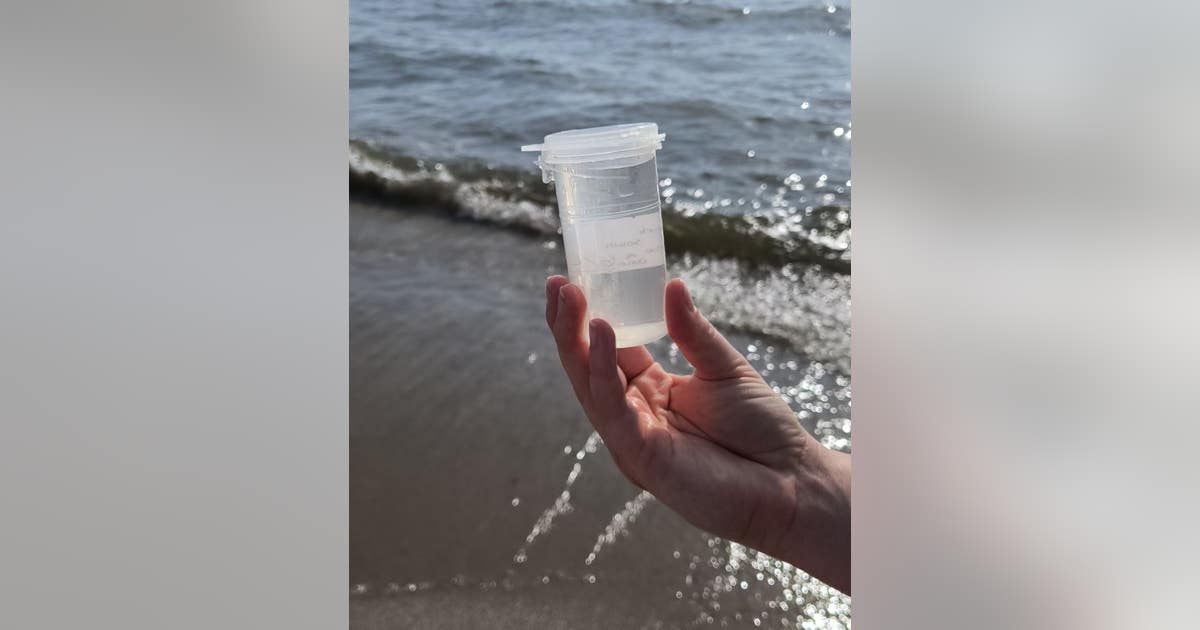 Lake Erie beach water testing resumes by Monroe County Health ...
