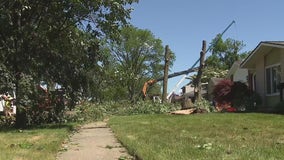 Livonia neighbors mourn 3-year-old's death after tornado