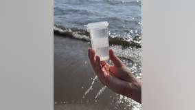 Lake Erie beach water testing resumes by Monroe County Health Department