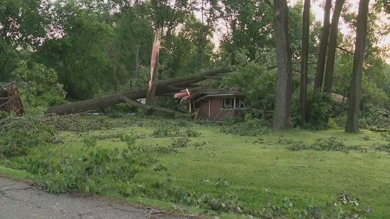 Southfield homeowner escapes harm after collapsed tree trapped him inside
