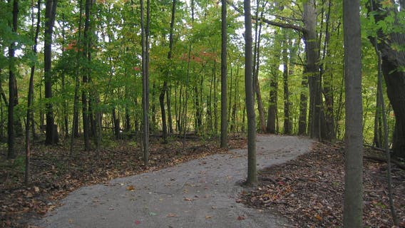 Carpenter Lake Nature Preserve expected to open next month after renovations