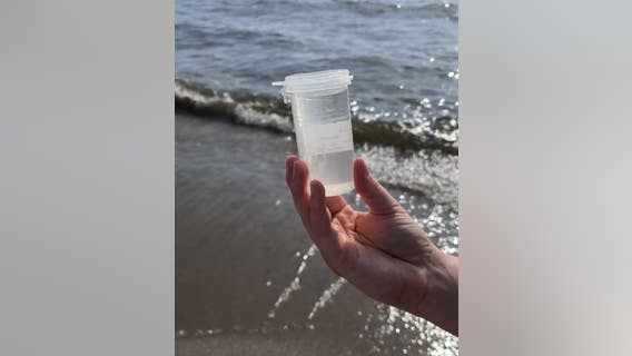 Lake Erie beach water testing resumes by Monroe County Health Department
