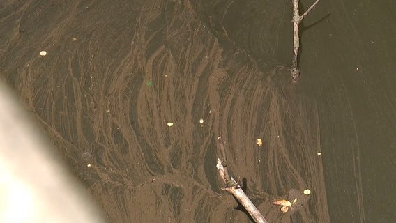 City: No public danger from River Rouge oil spill during Northville Downs demolition