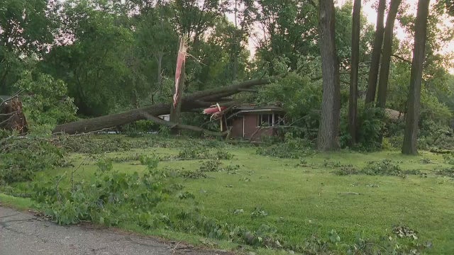 Southfield homeowner escapes harm after collapsed tree trapped him inside