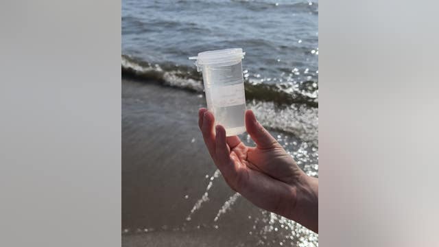 Lake Erie beach water testing resumes by Monroe County Health Department
