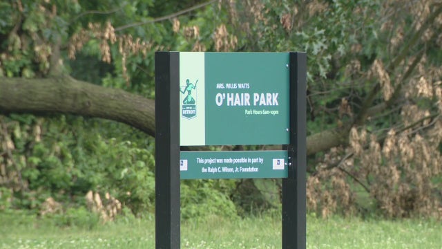 5 arrested after Detroit police pursuit, including 14-year-old shot in leg