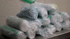 Massive fentanyl seizure at Detroit port yields nearly six pounds of substance