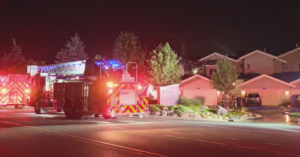 2 cats suffer smoke inhalation in Northville townhome fire | FOX 2 Detroit