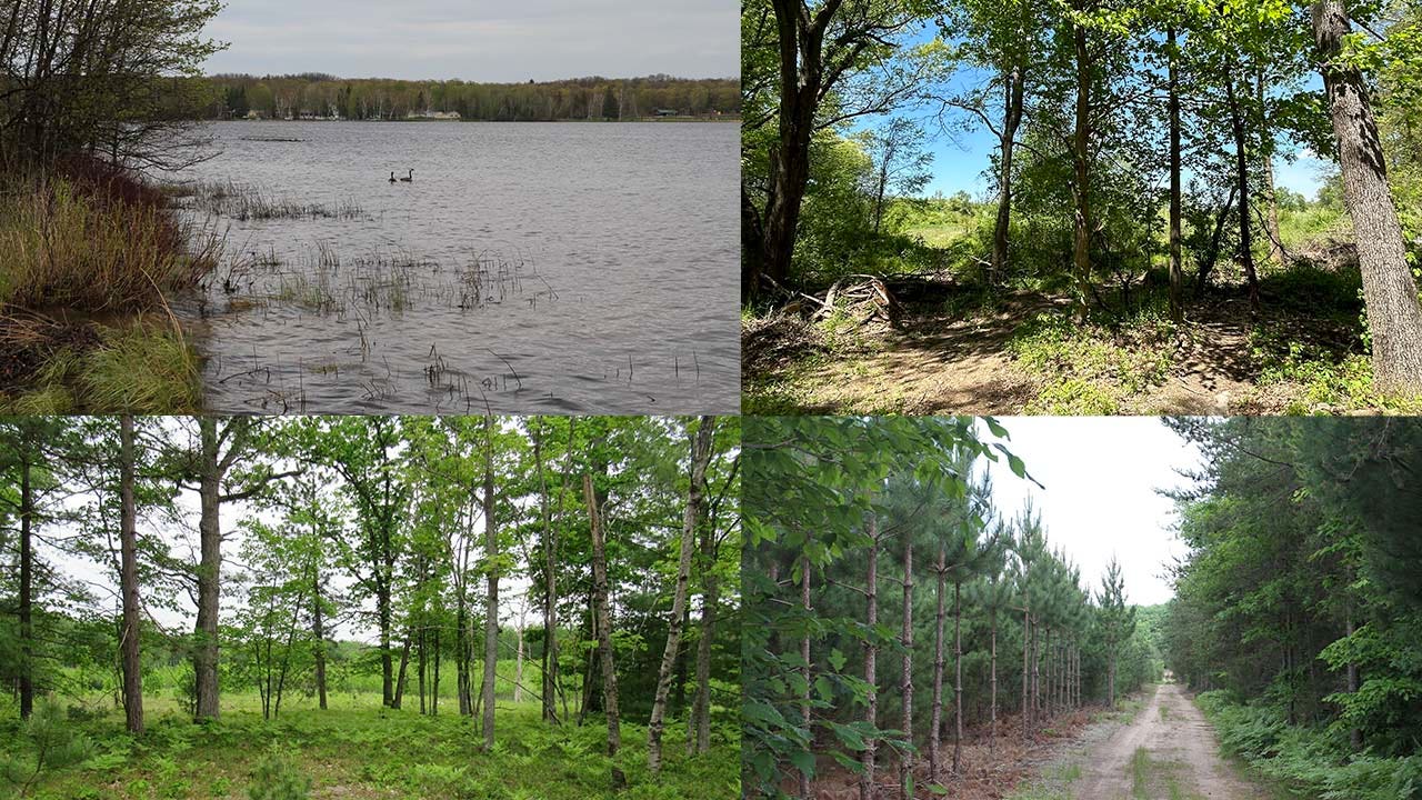 Michigan DNR land auction includes riparian land and 80 acres of forest