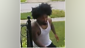 Police seeking porch pirate in Dearborn Heights