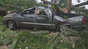 Hurricane Beryl rain leaves a mess around Southeast Michigan