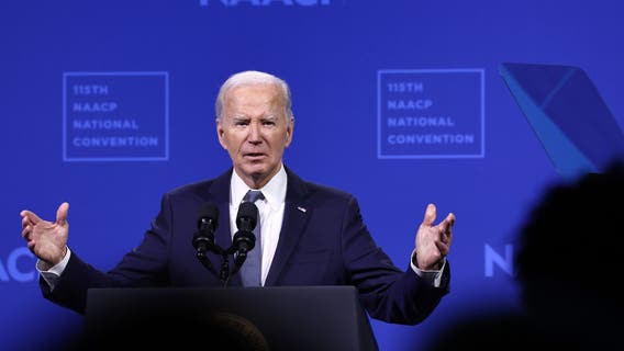 President Joe Biden drops out of race for White House, who could replace him?