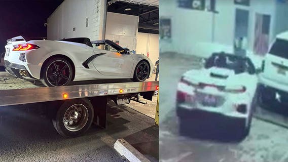 Thieves steal luxury vehicles during smash and grab at Southfield rental company