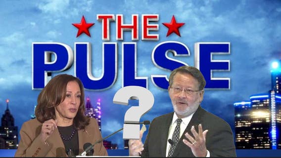 The Pulse: The veepstakes and spotting bogus information