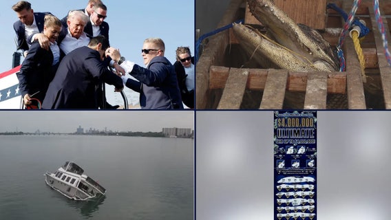 Trump assassination attempt • Alligator found during wellness check • Half-sunk boat on Detroit River