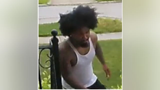 Police seeking porch pirate in Dearborn Heights