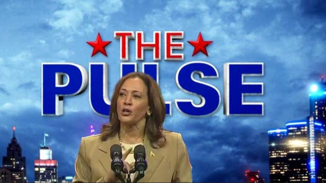 Dems form new game plan as Biden hands reins to Harris