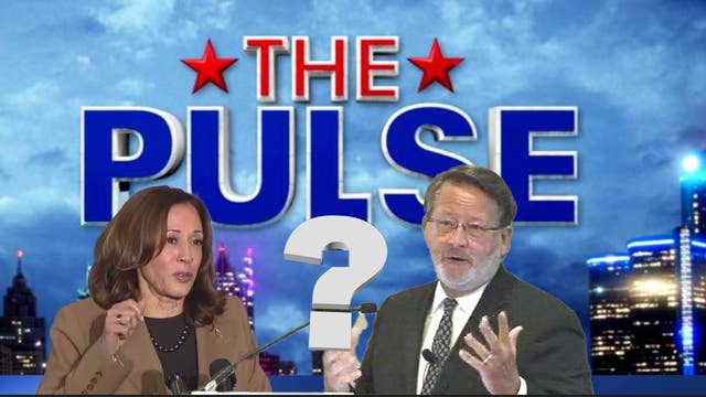 The Pulse: The veepstakes and spotting bogus information