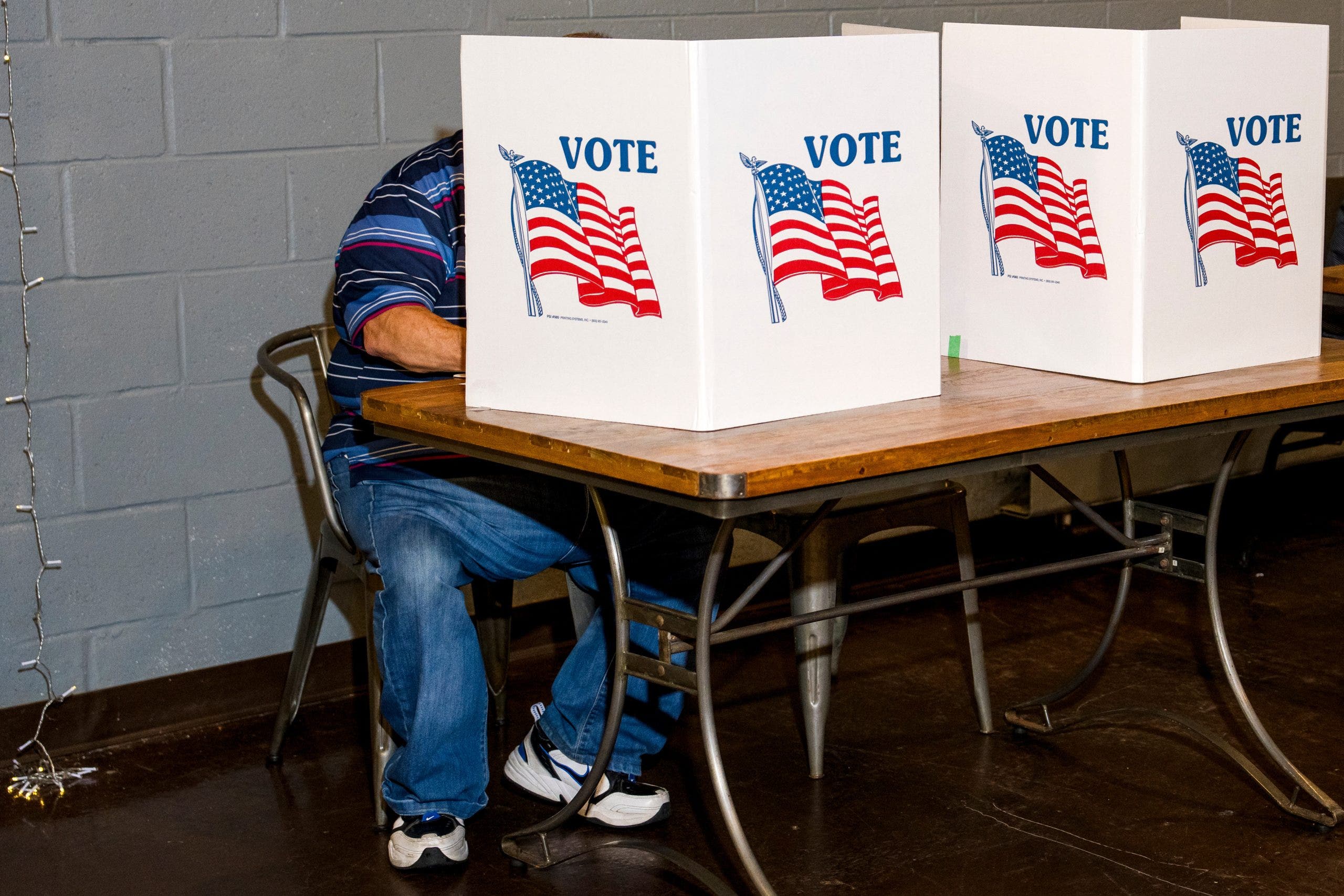 Michigan primary election: Senate race preview
