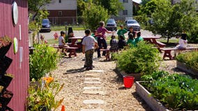 Salina Green Schoolyards coming to Dearborn this fall