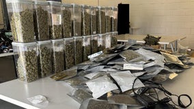 15-year-old caught with $100,000+ worth of weed products after Royal Oak dispensary break-in