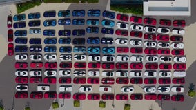 Woodward Dream Cruise: Parking, times, merchandise, and more