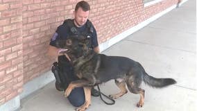 Retired Warren police K-9 needs help in fight against cancer