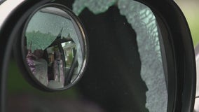 'Cut the crap out': Car windows smashed in pellet gun spree in Warren