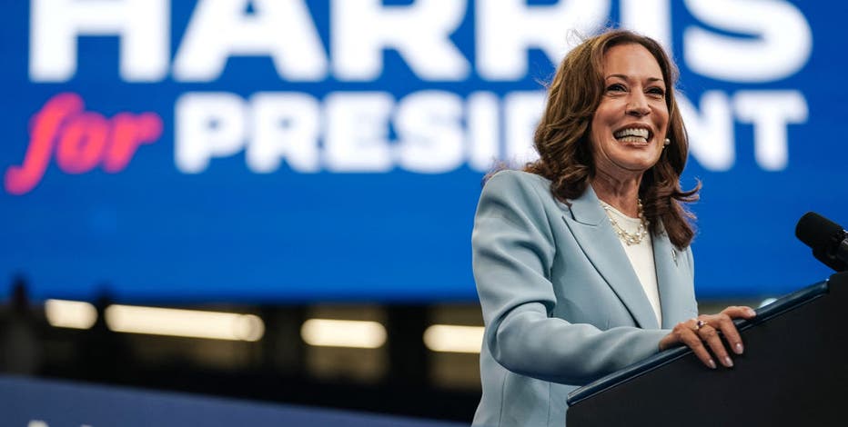 Kamala Harris VP pick: The two likely candidates and when to expect an announcement