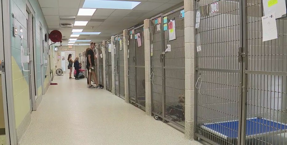 Humane Society of Huron Valley overcrowded with 513 animals, asking for help