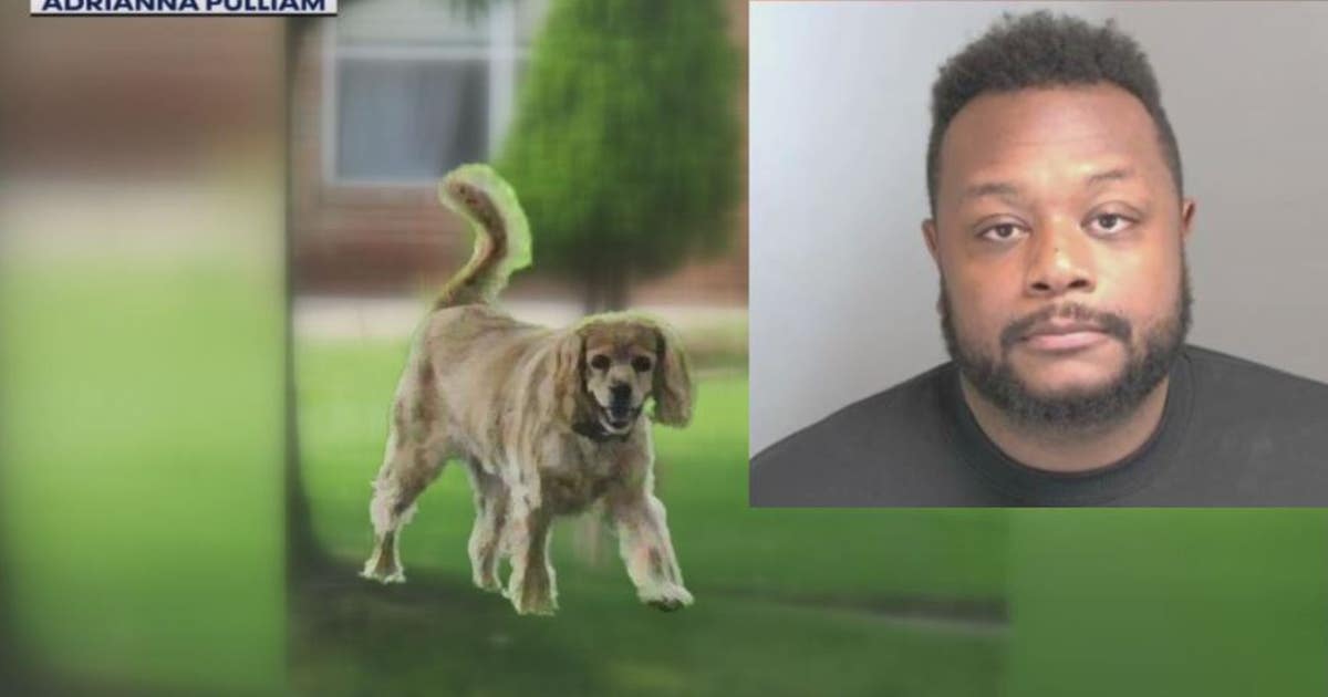 Police Using Cocker Police: Clinton Township man shoots neighbor's cocker spaniel in the ...