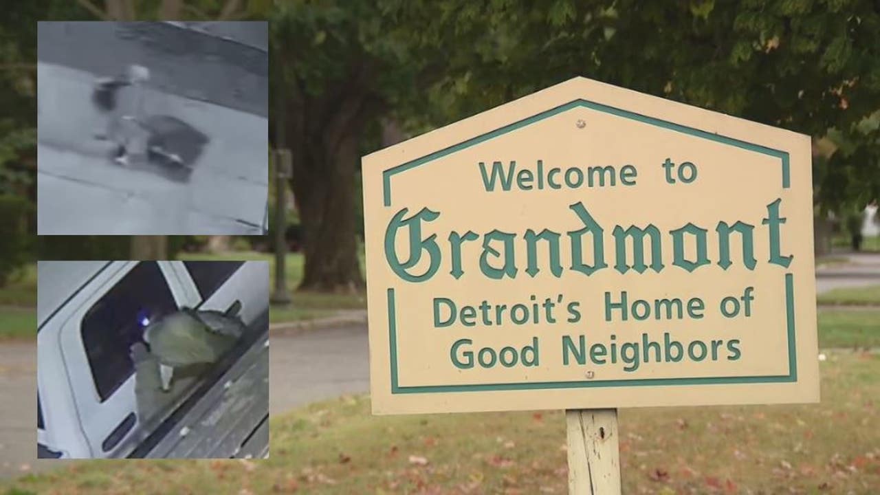 ‘It’s like a shopping spree’ – Detroit’s Grandmont residents feel targeted by wave of crime