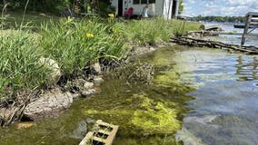 Michigan's artificial shorelines are making its lakes sick. Can they be healed?