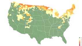 Michigan fall foliage map: When the colors start changing