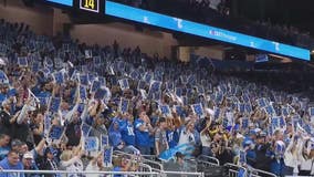 Lions fan records new Lions hype song 'All Grit'