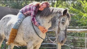 Horseback riding scam in Michigan creates headaches for some, heartache for others