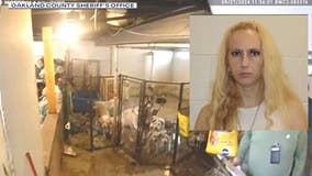 Pontiac woman charged after 29 dogs and 8 cats found living in her house