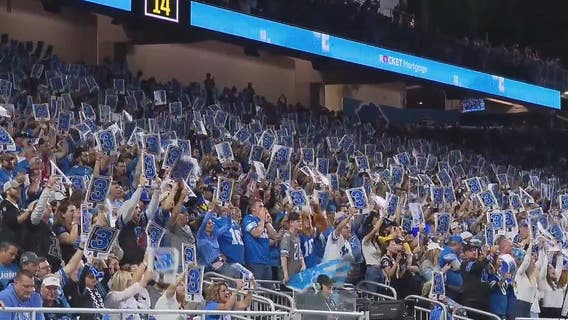 Lions fan records new Lions hype song 'All Grit'