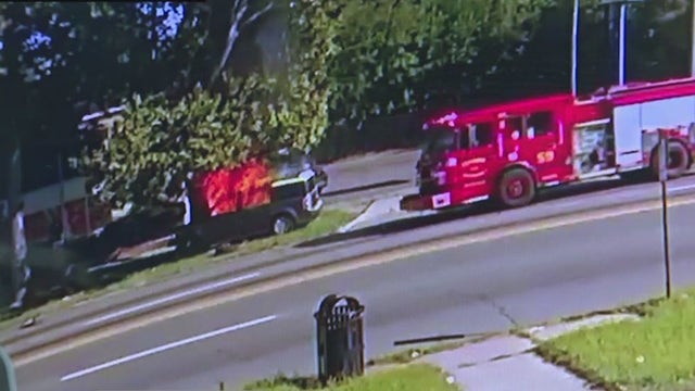 Driver dead after Ford Flex slams into tree outside Detroit deli