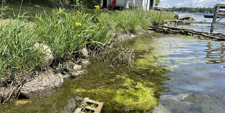 Michigan's artificial shorelines are making its lakes sick. Can they be healed?